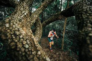 BIB: 
                            <button type="button" onclick="openModal(25393310)" class="btn btn-primary btn-sm float-right btn-popup" data-toggle="modal" data-target=".modal-high-quality">
                        <i class="fas fa-shopping-cart"></i> Add to Cart
                    </button>
                                            <button type="button" onclick="isThisMe(25393310, true)" class="btn btn-success btn-sm float-right btn-popup btn-isme hidden" data-toggle="tooltip" data-placement="bottom" title="นี่คือรูปของคุณใช่ไหม คลิกที่นี่เพื่อเอาเข้าอัลบั้ม">
                        <i class="fas fa-plus"></i> Add to album
                    </button>
                    <button type="button" onclick="isThisMe(25393310, false)" class="btn btn-warning btn-sm float-right btn-popup btn-isnotme hidden">
                        <i class="fas fa-ban"></i> Remove from album
                    </button>